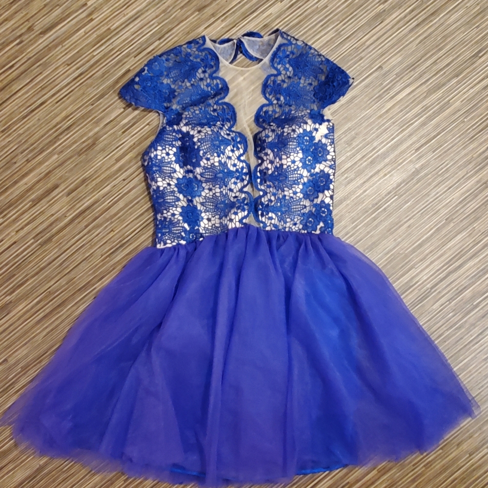 Deep v neck blue homecoming dress large